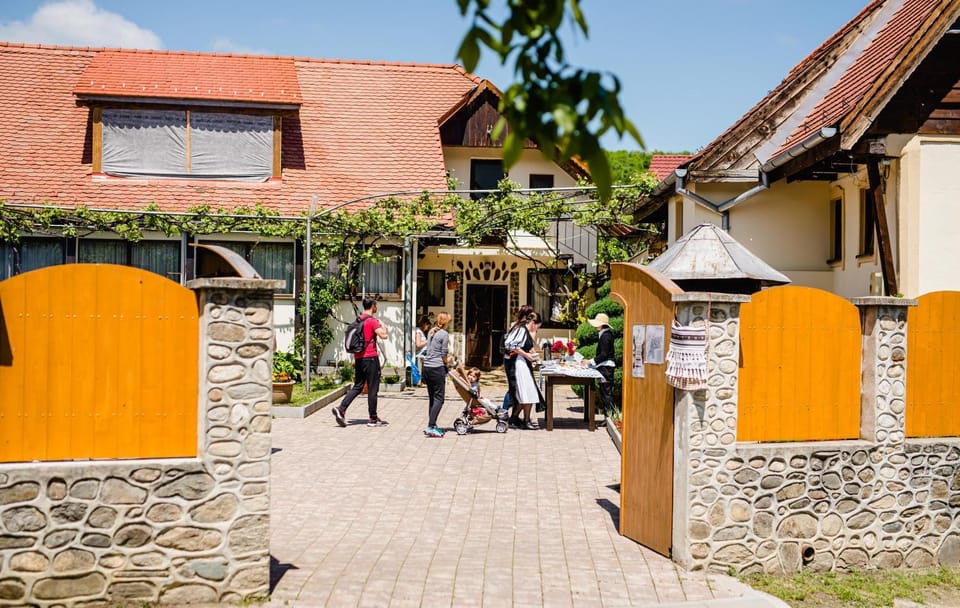 Casa Ciortea Ana Farm Stay in Romania