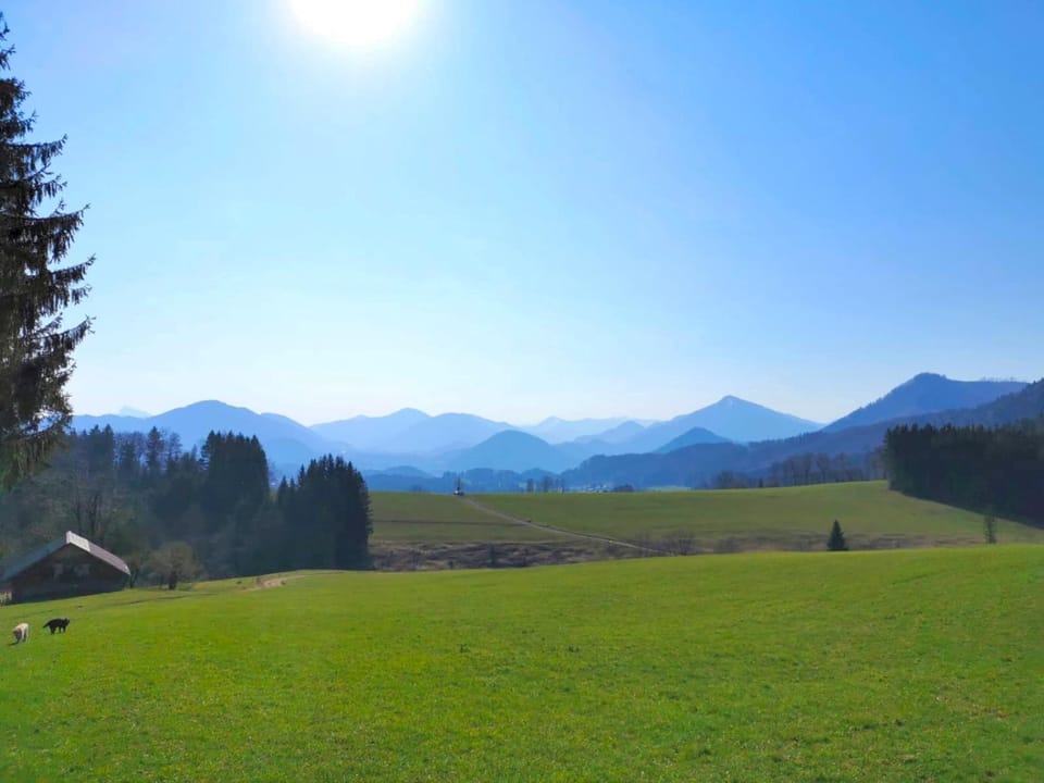 Natural landscape