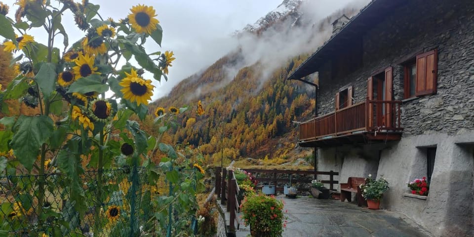 Property building, Autumn