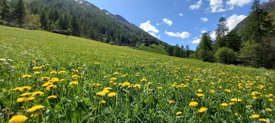 Property building, Summer