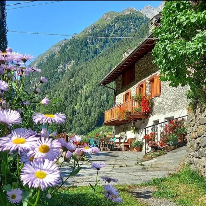 Property building, Summer, Garden, Mountain view