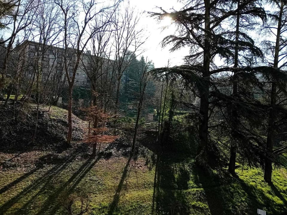 Residence Albion - Logement au calme dans la verdure ! MAE-7584 Apartment in Aix-les-Bains