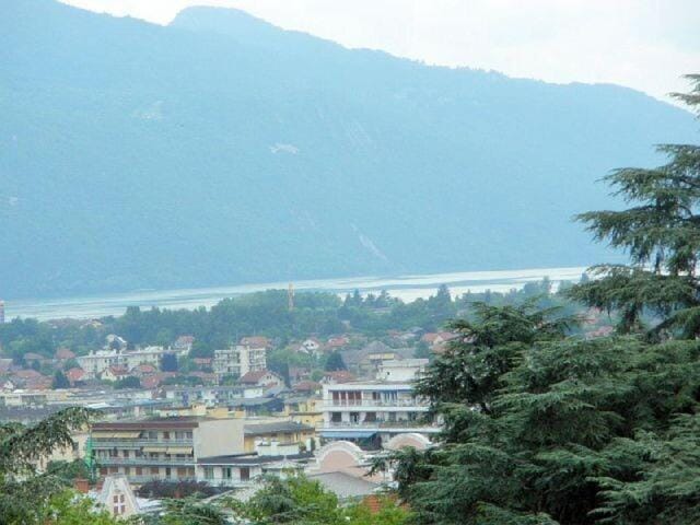 Residence Albion - Logement au calme dans la verdure ! MAE-7584 Apartment in Aix-les-Bains