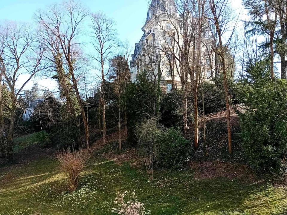 Residence Albion - Logement au calme dans la verdure ! MAE-7584 Apartment in Aix-les-Bains