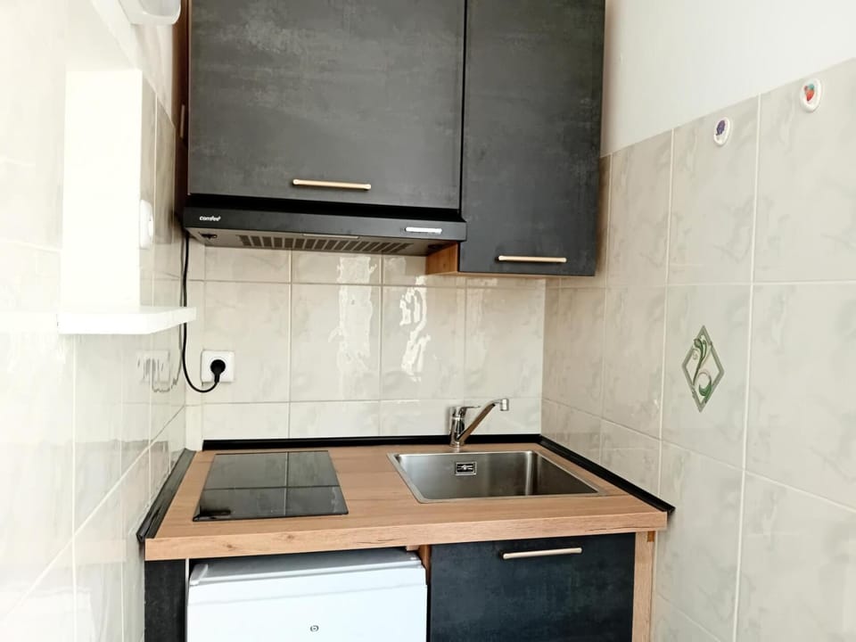 Residence Albion - Logement au calme dans la verdure ! MAE-7584 Apartment in Aix-les-Bains