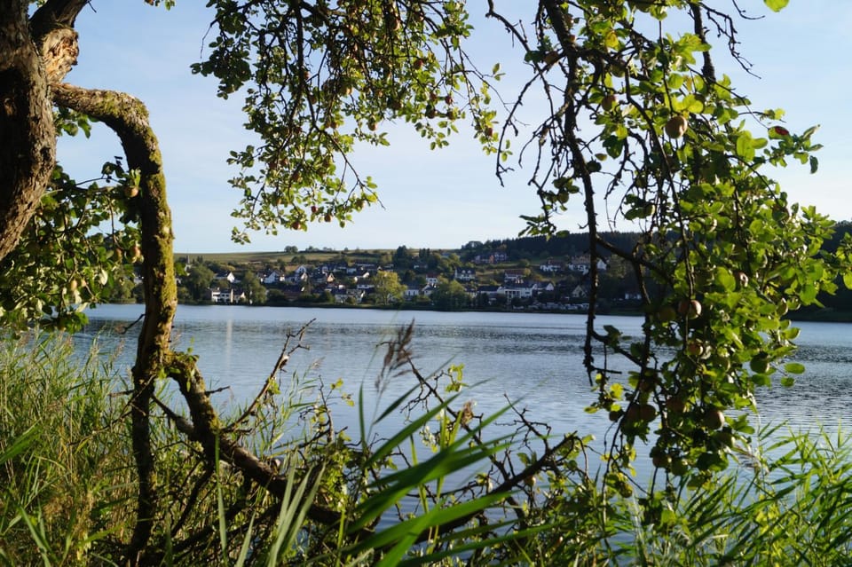 Natural landscape