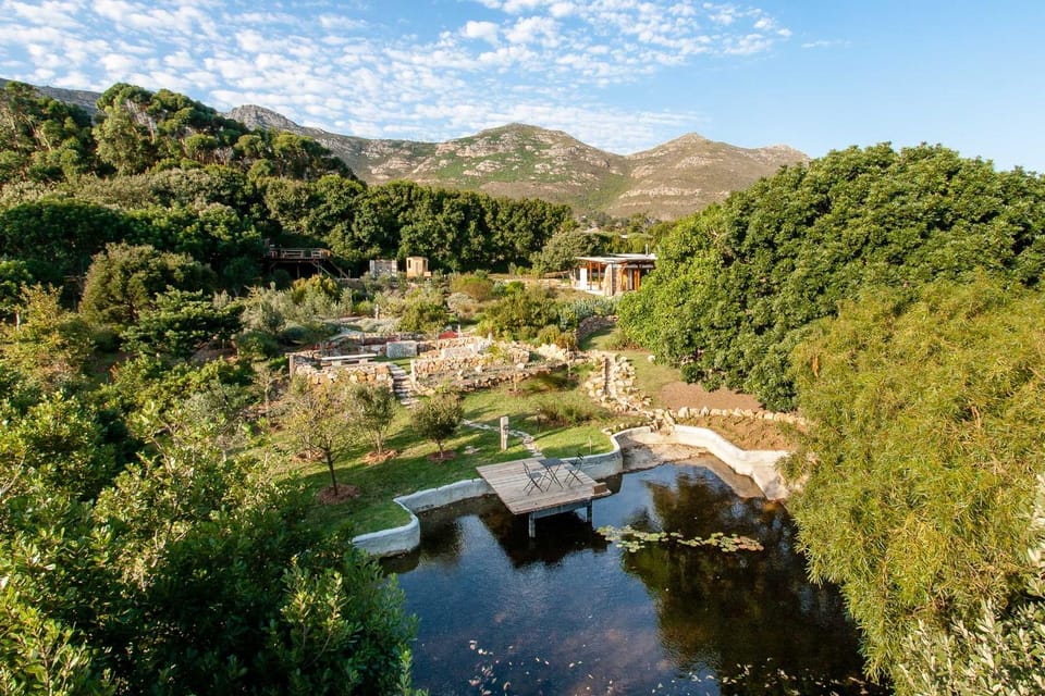 Kinghorns Gardens Bed and Breakfast in Cape Town