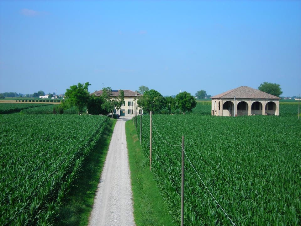 Bird's eye view, Other