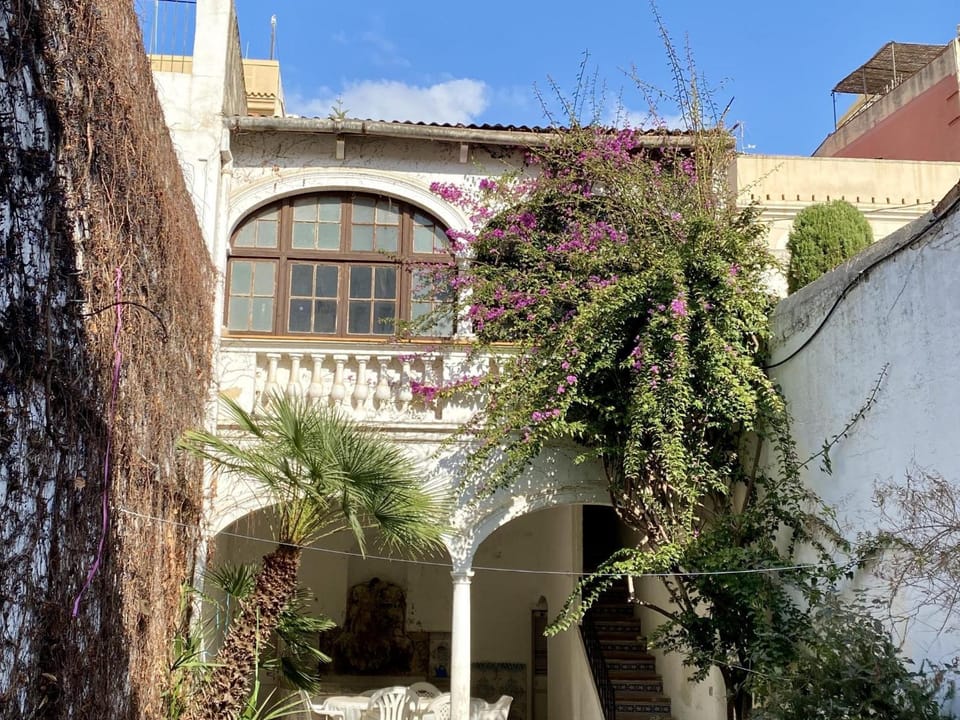 Day, Garden view