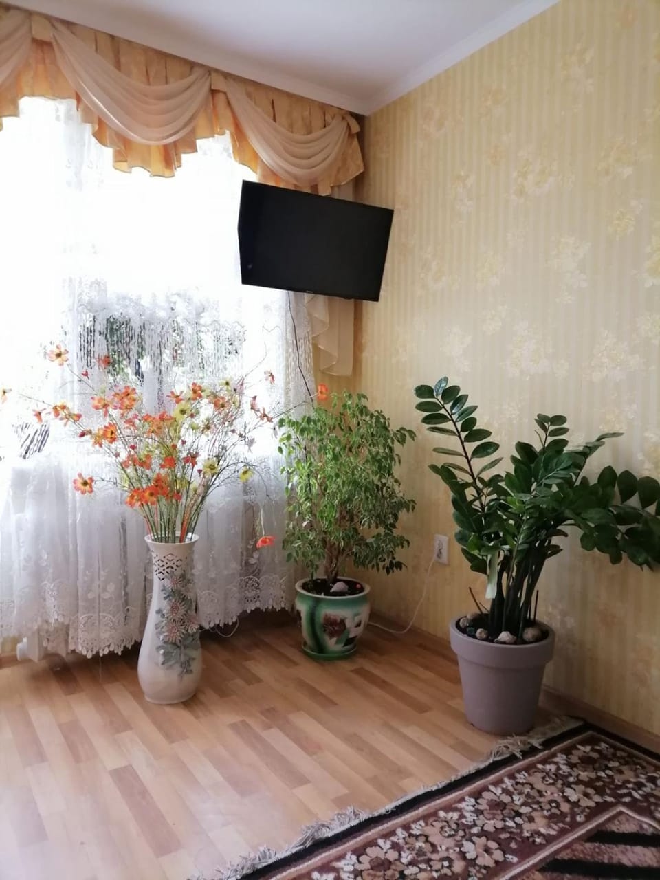 TV and multimedia
