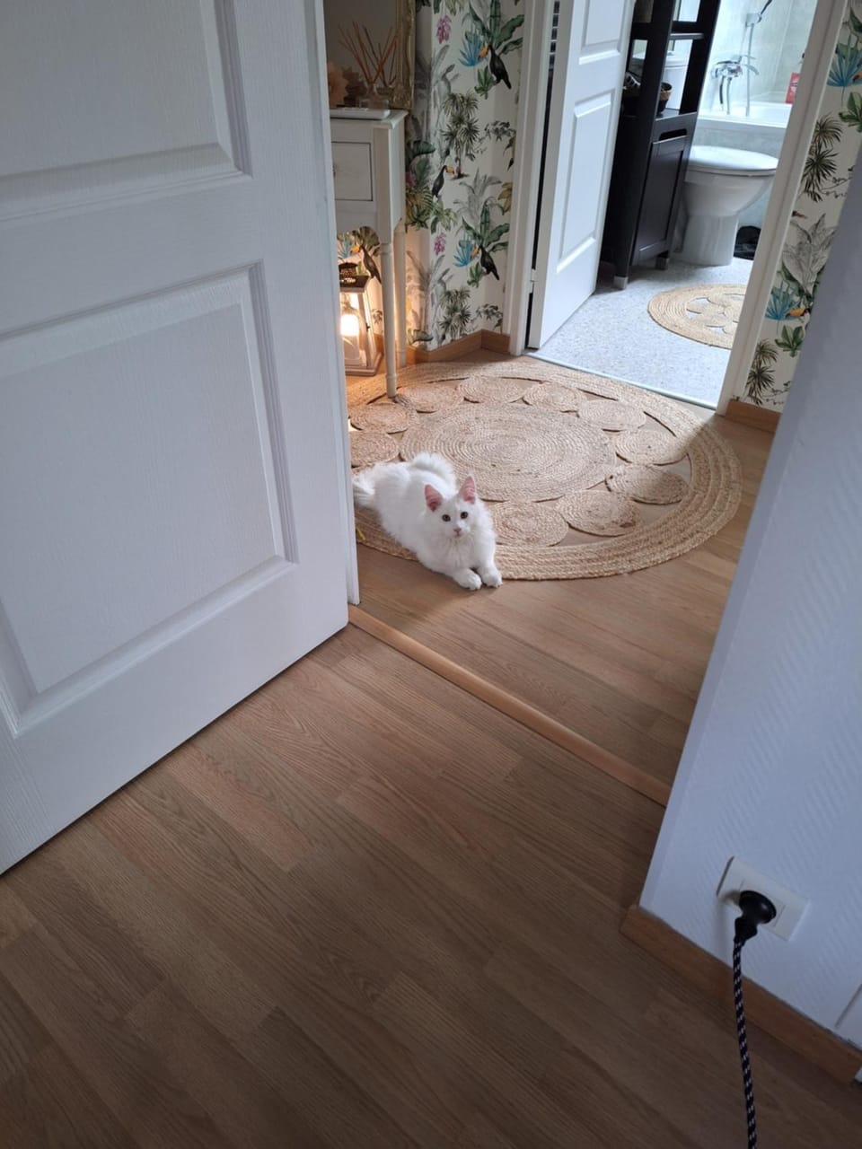 Chambre climatisée au cœur de brive avec téléviseur connecté wifi Netflix Vacation rental in Nouvelle-Aquitaine