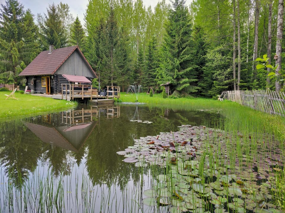 Property building, Day, Natural landscape, Garden, Sauna, Garden view, Lake view