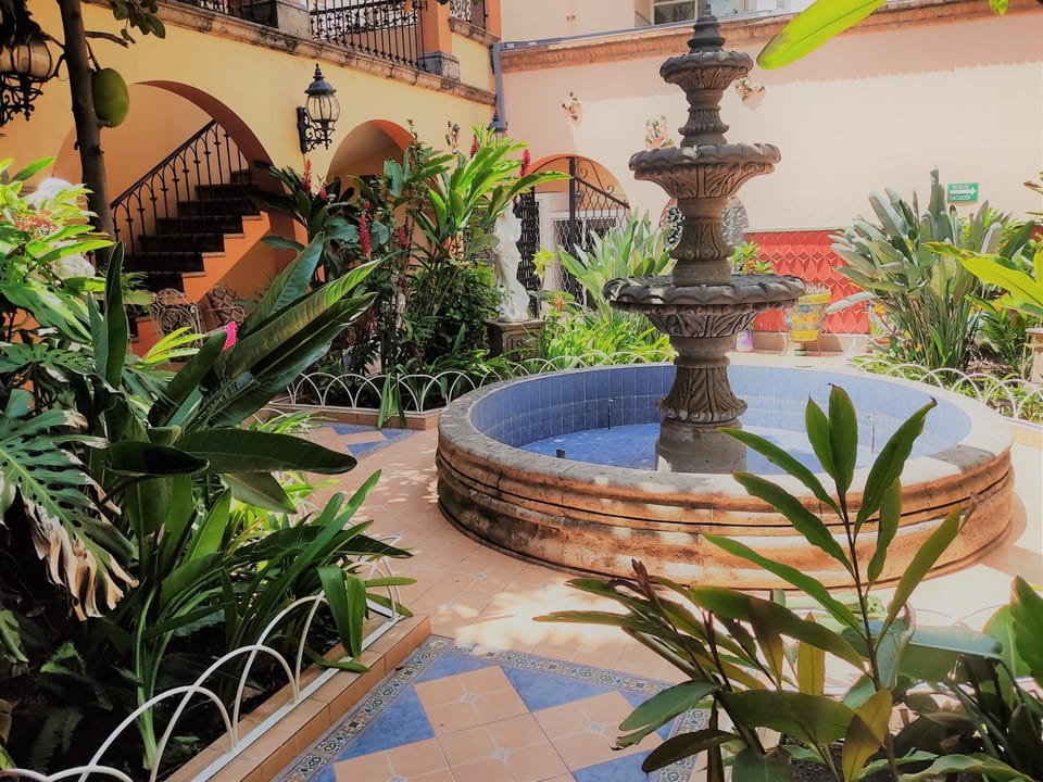 Garden