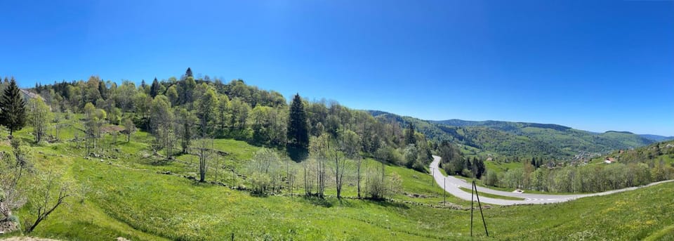 Le Nid de Mimi - Gite avec vue à La Bresse - Sauna et Balnéo Apartment in Gérardmer