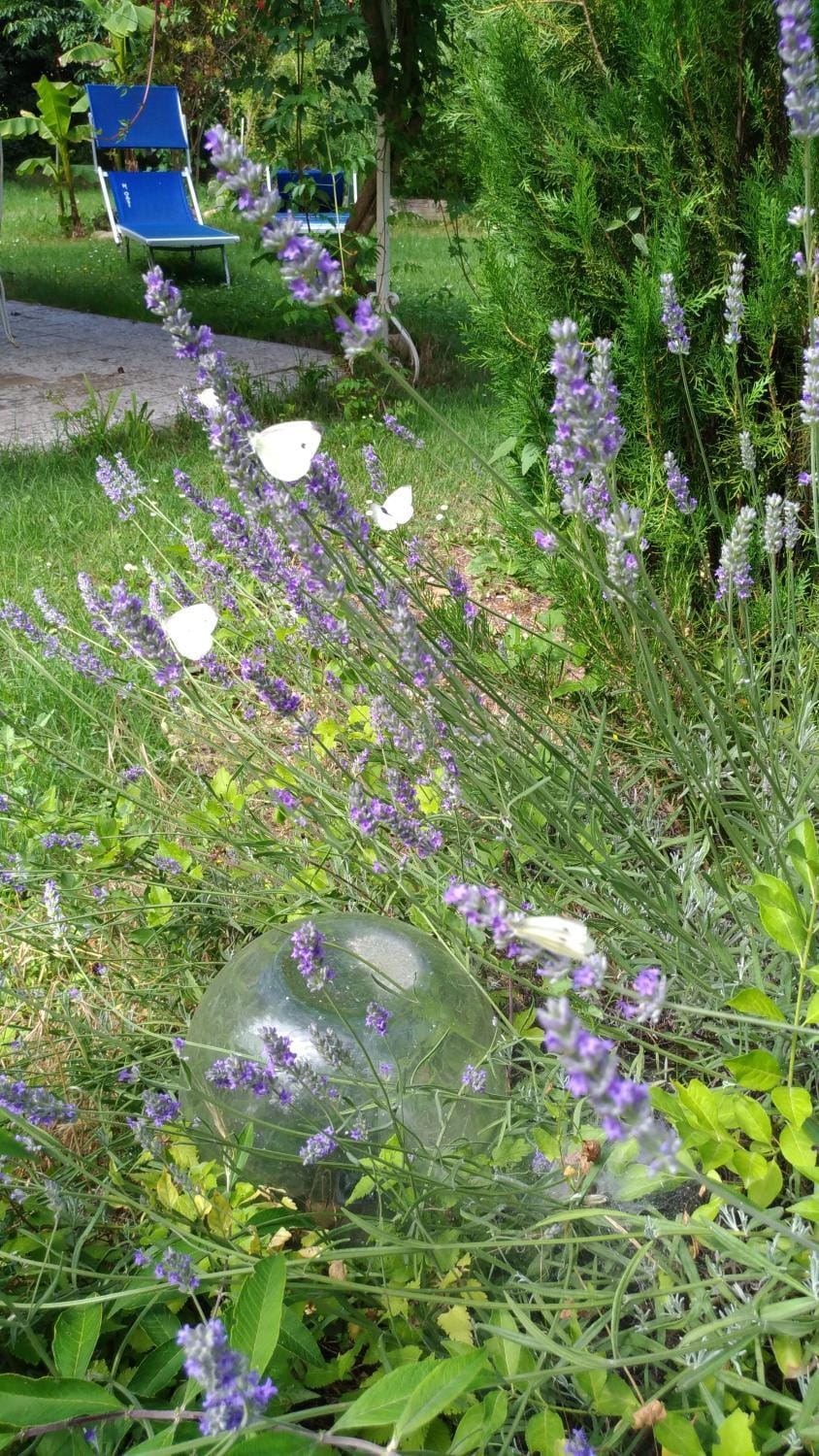 B&B Mulini Venturi Bed and Breakfast in Marche