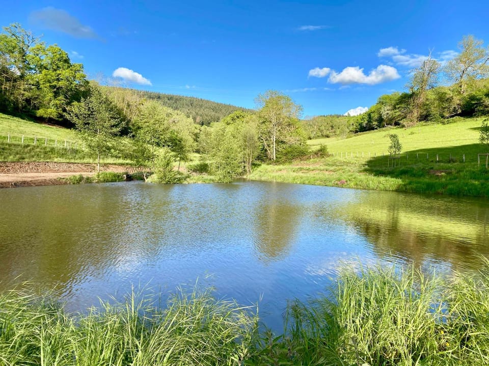 Natural landscape