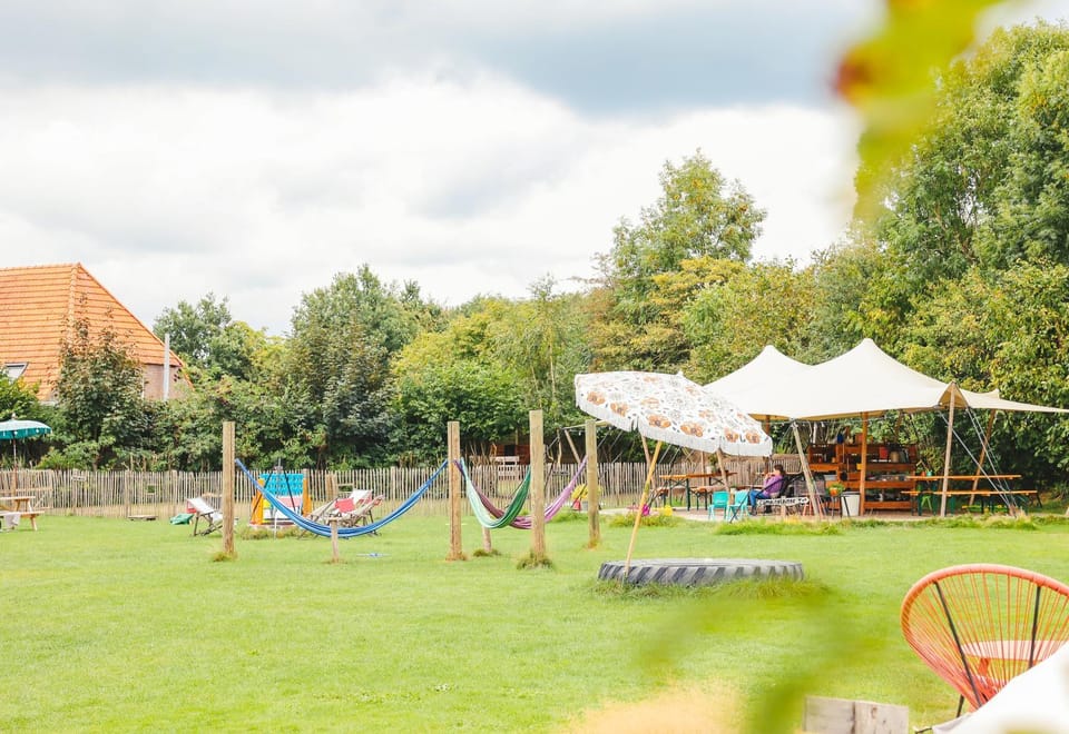 Wereldse Bell Tenten met alpaca's Luxury tent in Flevoland, Netherlands
