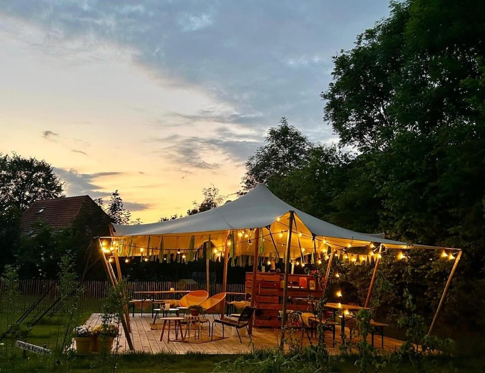 Wereldse Bell Tenten met alpaca's Luxury tent in Flevoland, Netherlands