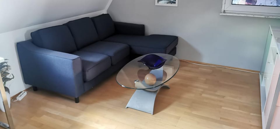 München großzügige Wohnung sehr ruhig Apartment in Munich
