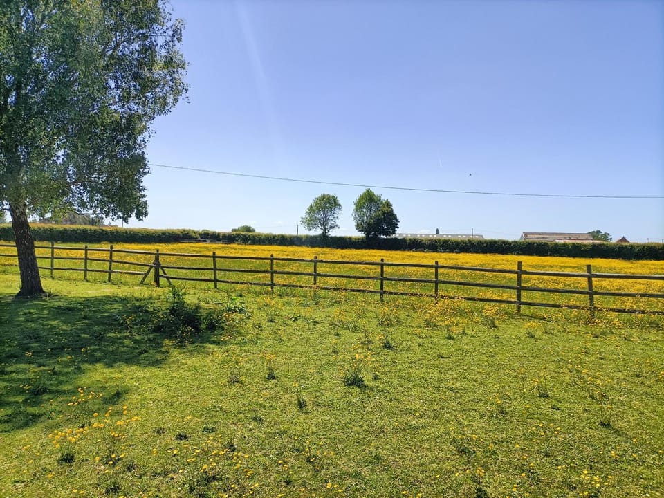 Crown Cabin Wiltshire near Longleat and Bath Cabin in Trowbridge