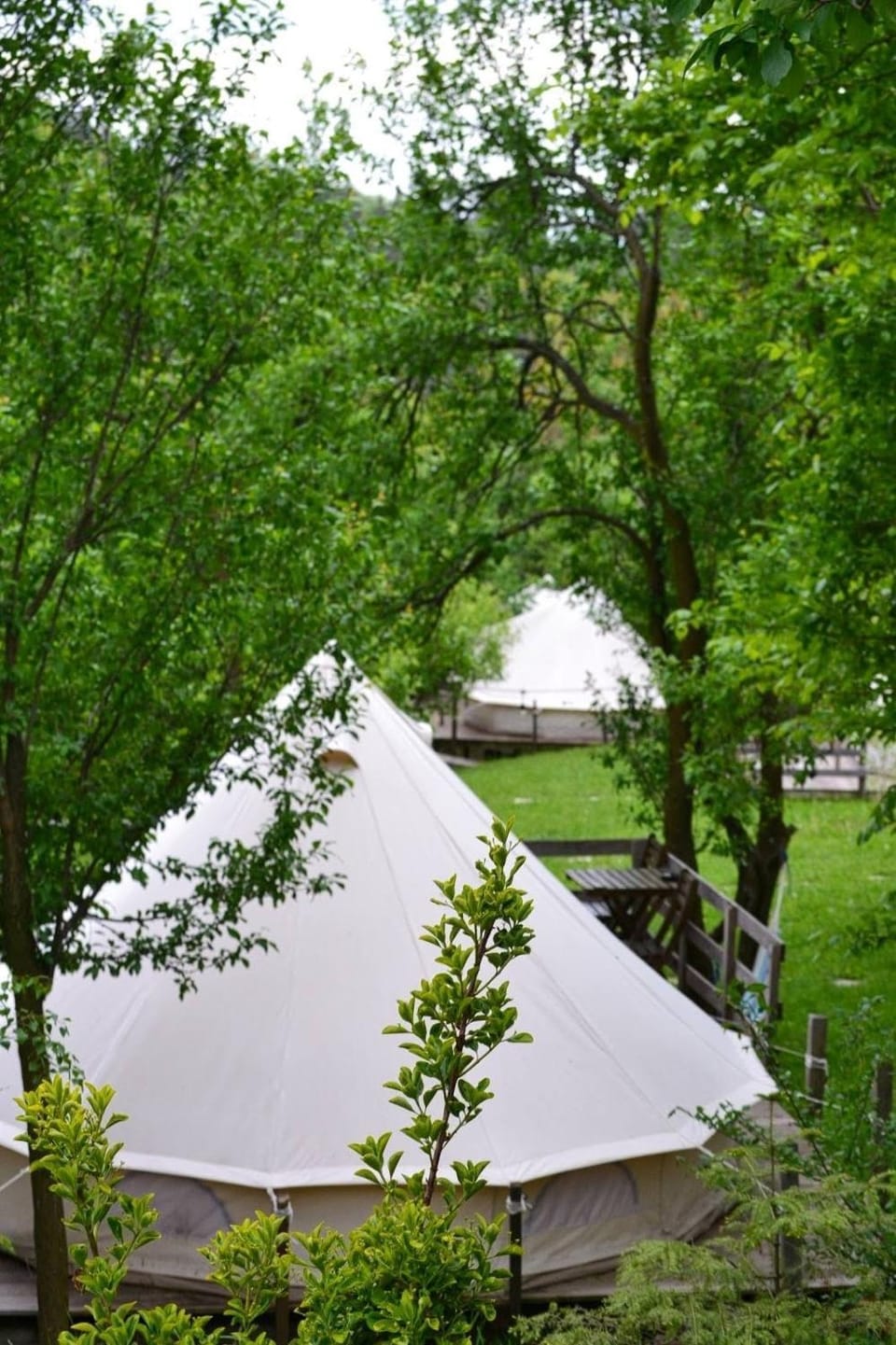 Tinutul Luanei Glamping Resort Luxury tent in Prahova, Romania