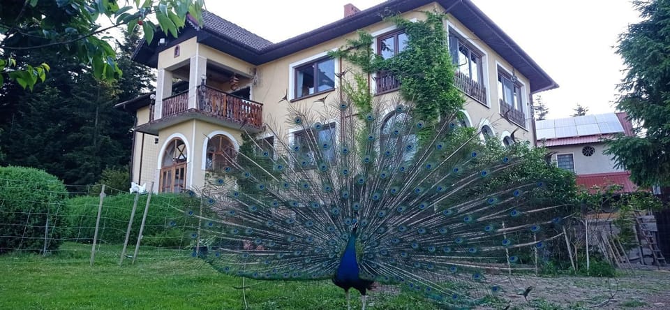 Garden, Animals