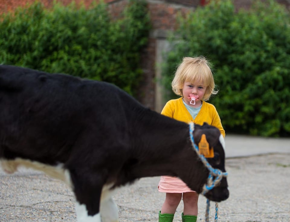 De Grote Linde Farm Stay in Flanders