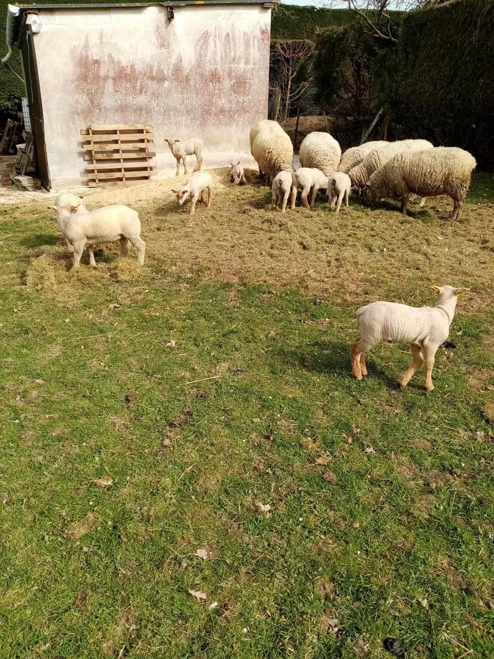 la Bergerie Bed and Breakfast in Brittany