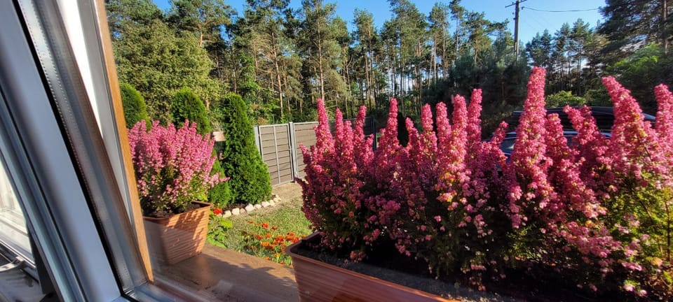 Garden, Garden view