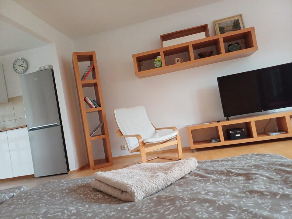 Apartmán Dvořák 194 pod Svatou horou Vacation rental in Czechia
