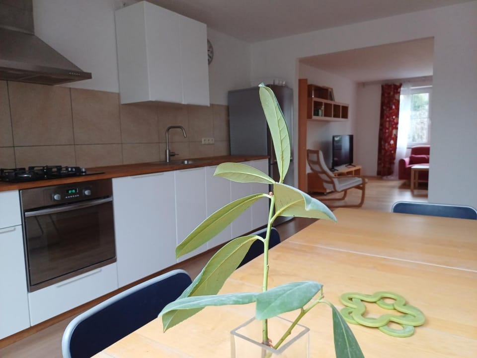 Apartmán Dvořák 194 pod Svatou horou Vacation rental in Czechia