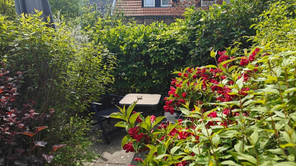 Studio@Domburg Bed and Breakfast in Domburg
