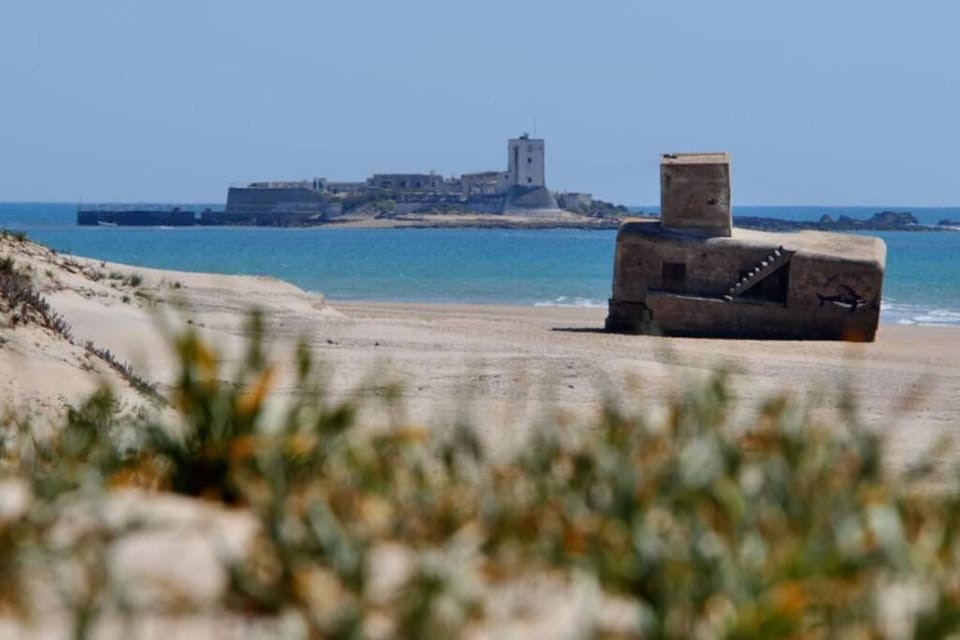 Natural landscape, Beach, Hiking