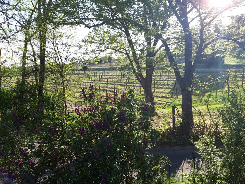 View (from property/room), View (from property/room), Garden view, Garden view, Landmark view, Mountain view