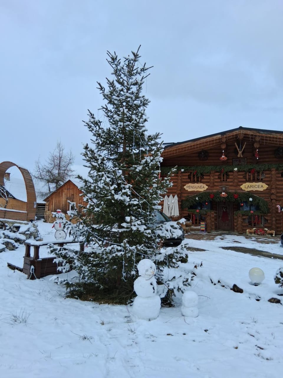 Pensiunea Laricea Bed and Breakfast in Romania