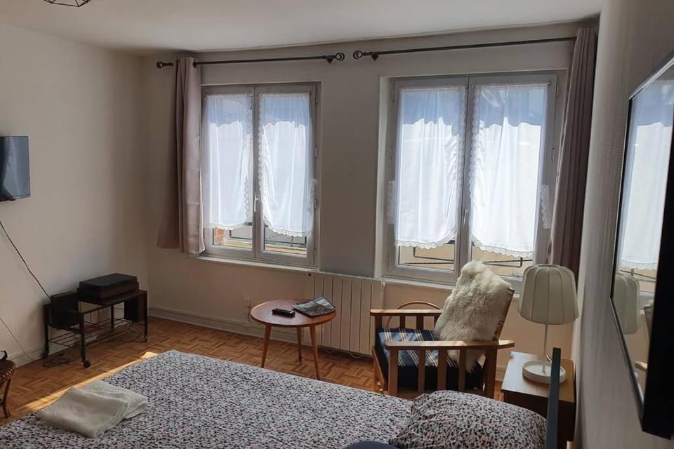 Le Réverbère - coeur urbain d'Epernay Apartment in Epernay