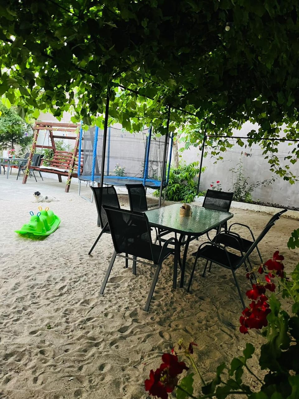 Casa Dumitru Bed and Breakfast in Dobrich Province, Bulgaria