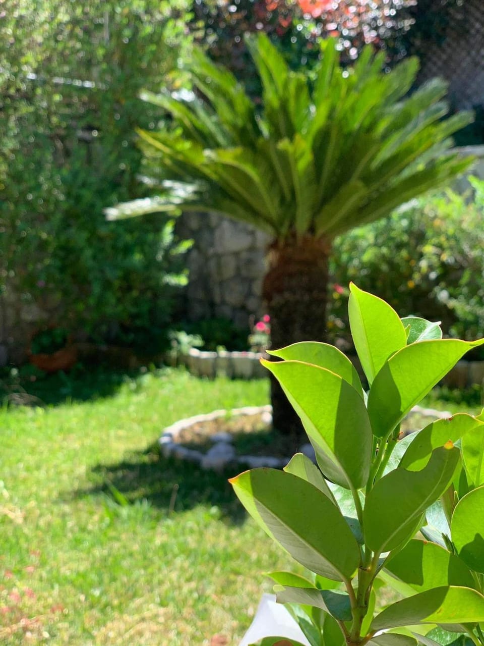 Villa theosis House in Lefkada, Lefkada Municipality, Greece