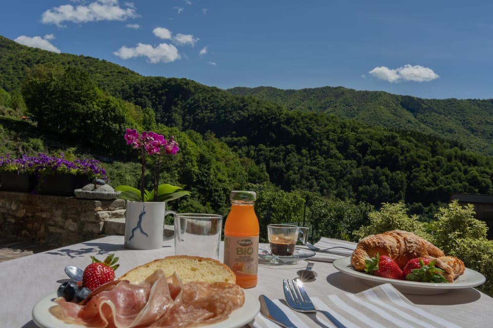 Mountain view, Breakfast, Continental breakfast, Buffet breakfast