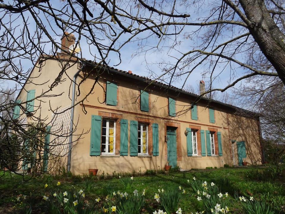 Facade/entrance, Garden