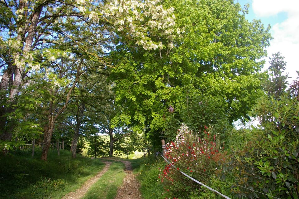 Hiking