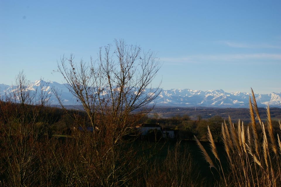 Mountain view