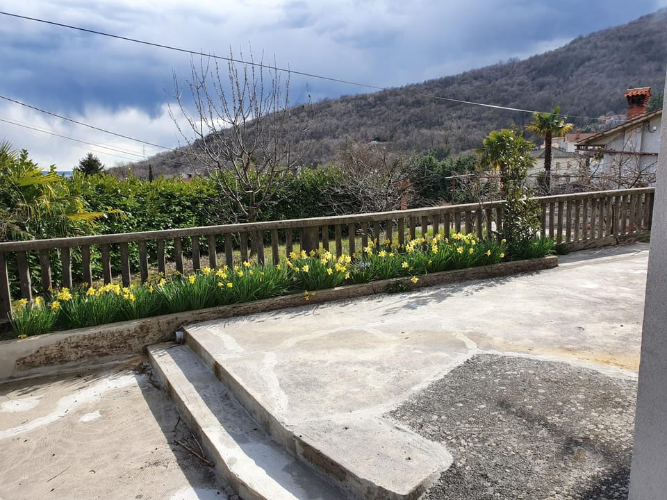 Balcony/Terrace, Kitchen or kitchenette