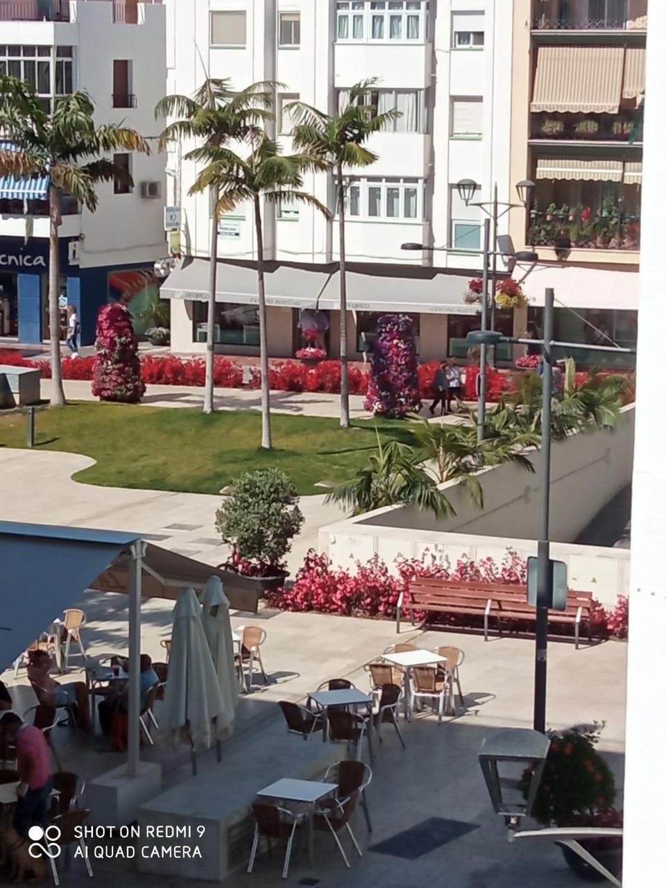 View (from property/room)