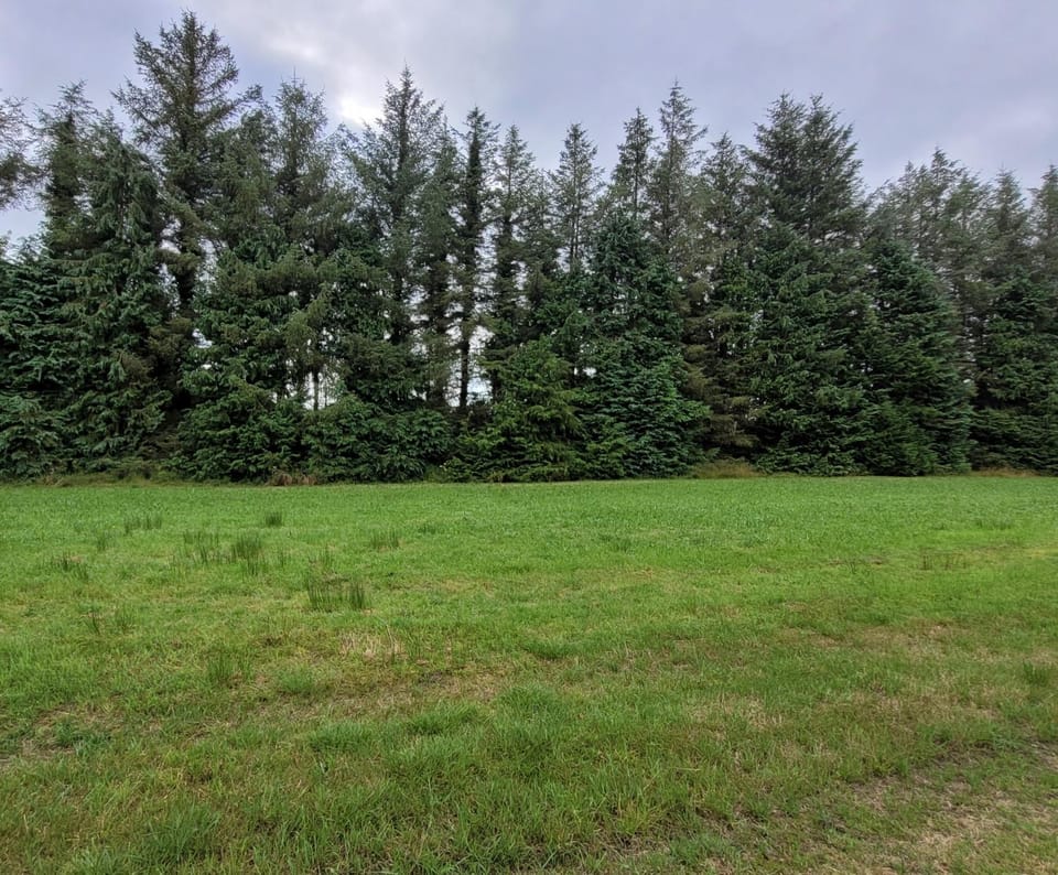 The Cosy Cabin Cabin in County Sligo