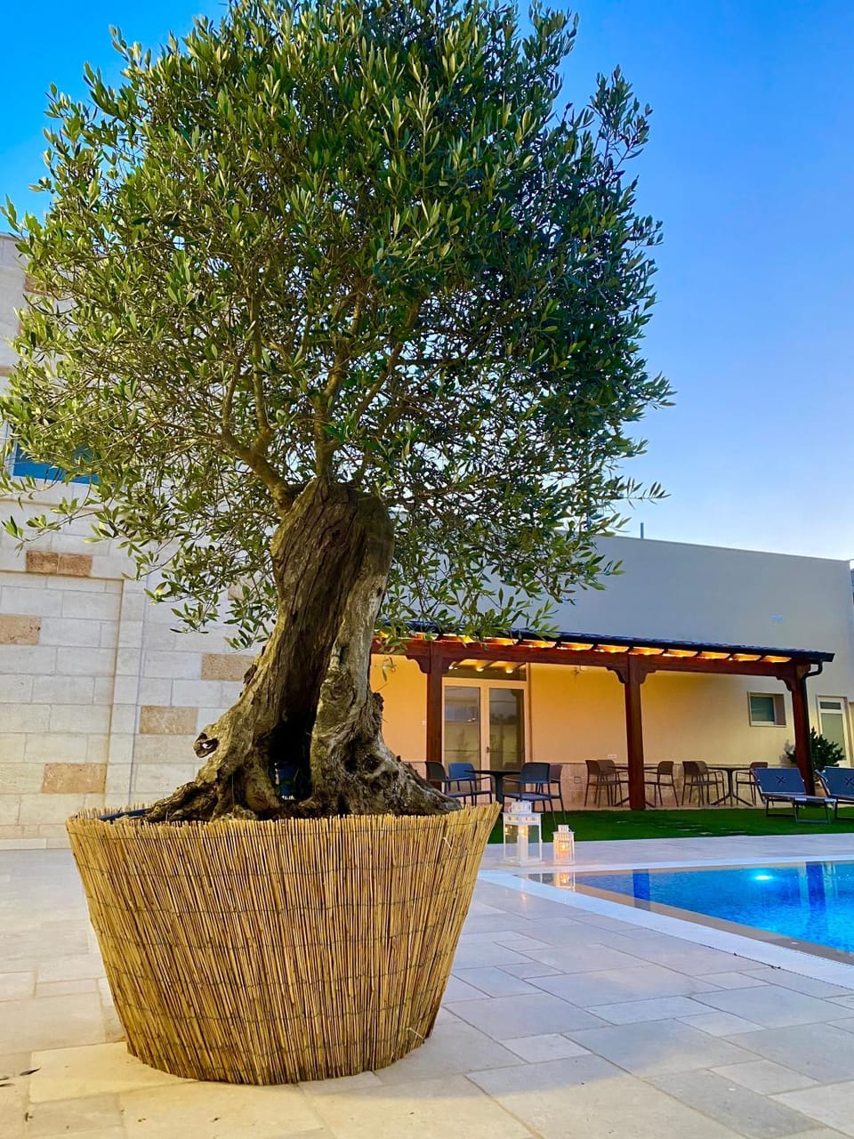 Property building, Garden, Garden view, Pool view, Swimming pool