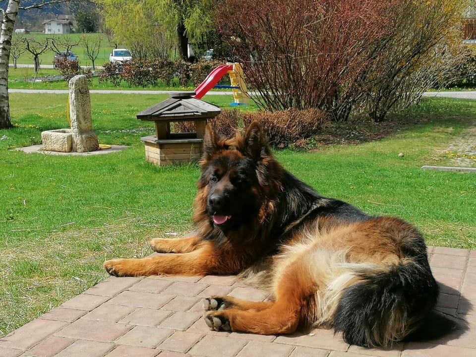 Casa Teresa Apartment in Ledro