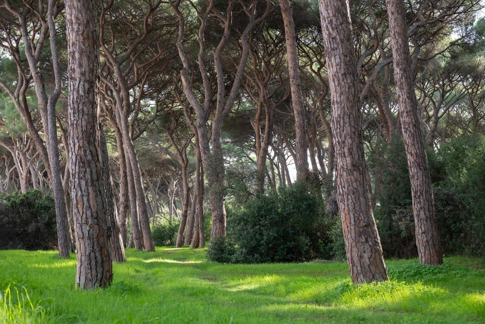 Natural landscape, Landmark view