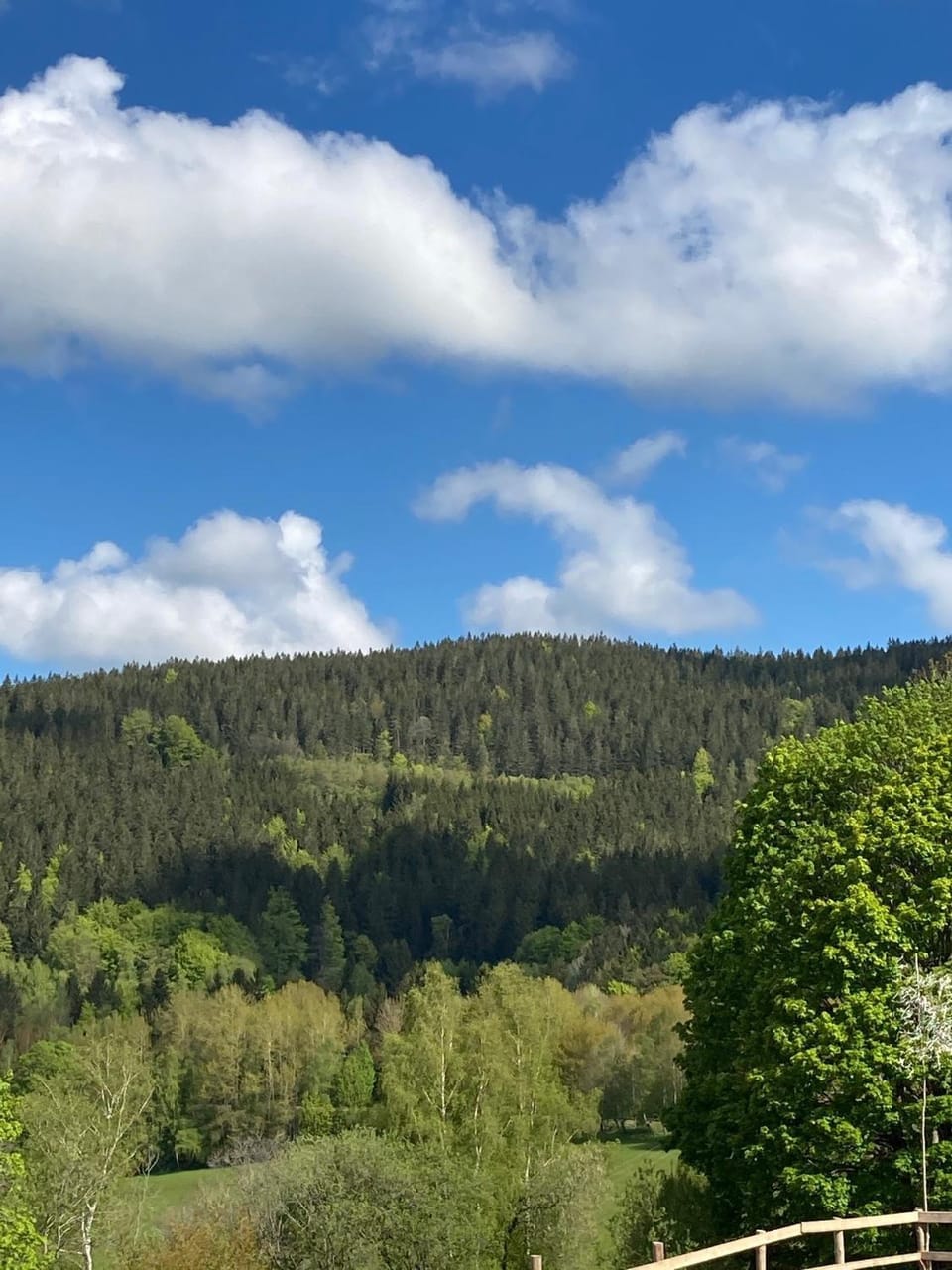 Mountain view