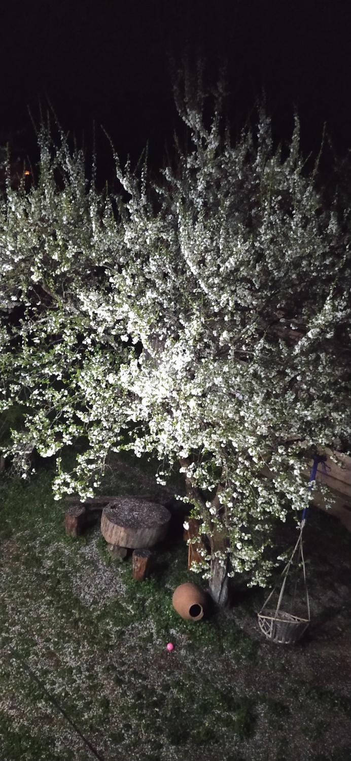 Garden, Garden view